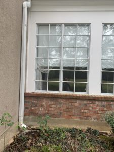 window replacement in berkeley il